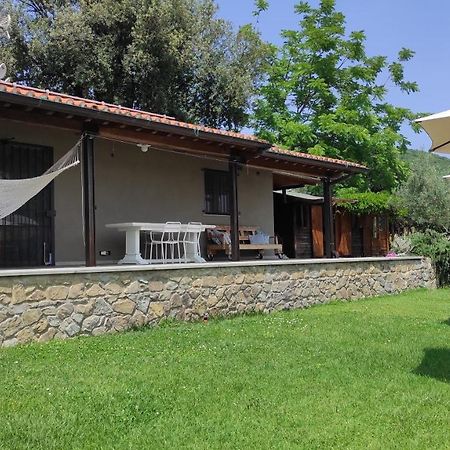 أريتسو B&B La Casina Di Iris المظهر الخارجي الصورة
