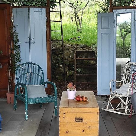 أريتسو B&B La Casina Di Iris المظهر الخارجي الصورة