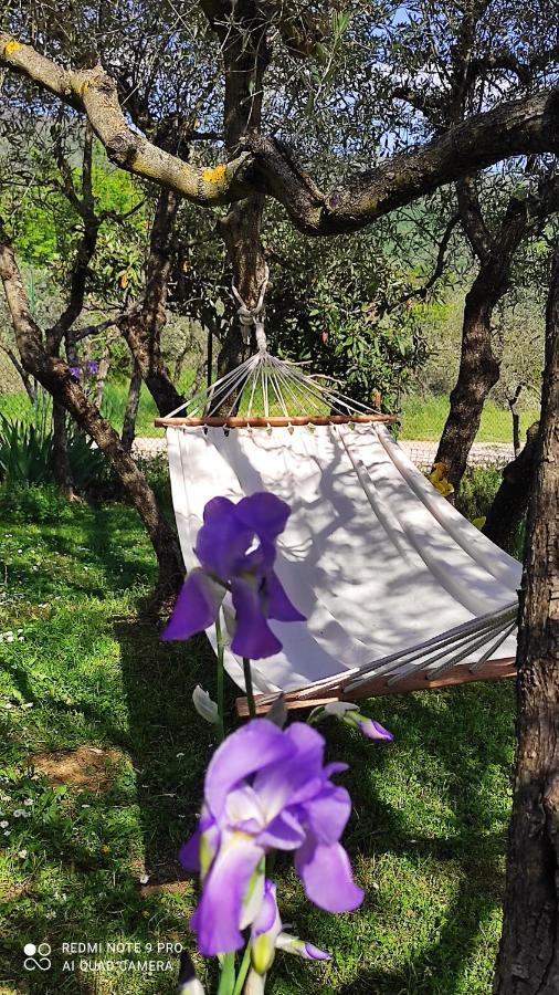 أريتسو B&B La Casina Di Iris المظهر الخارجي الصورة