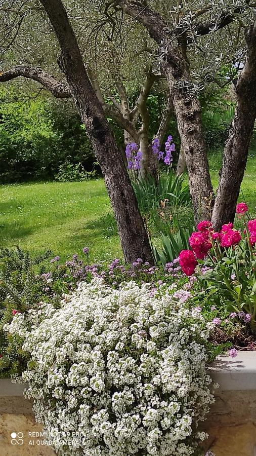 أريتسو B&B La Casina Di Iris المظهر الخارجي الصورة