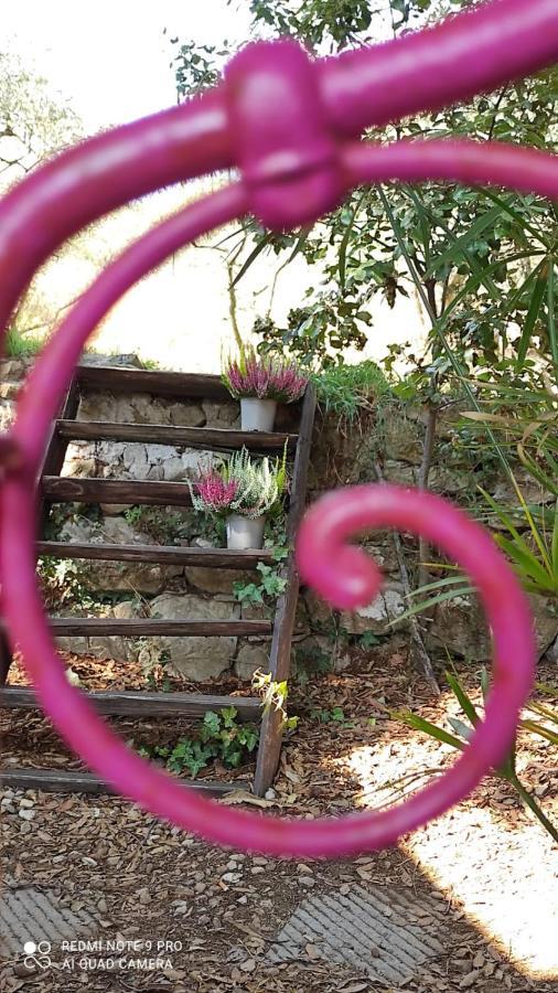 أريتسو B&B La Casina Di Iris المظهر الخارجي الصورة