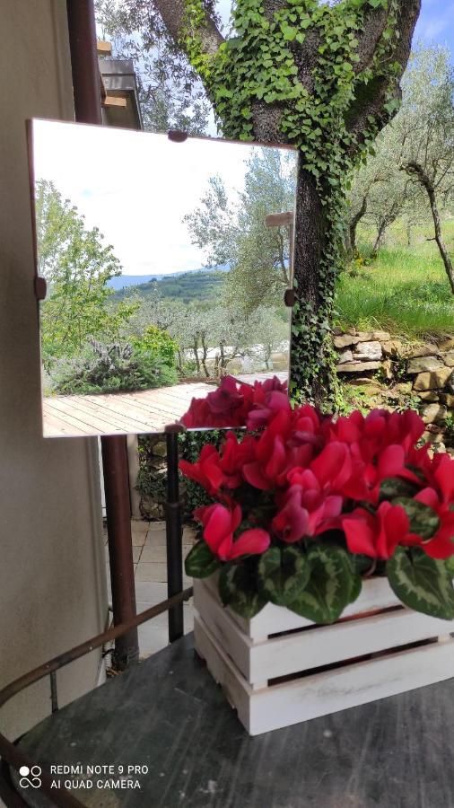 أريتسو B&B La Casina Di Iris المظهر الخارجي الصورة