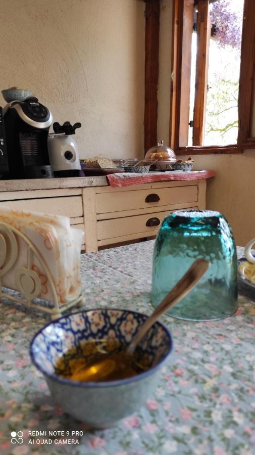 أريتسو B&B La Casina Di Iris المظهر الخارجي الصورة