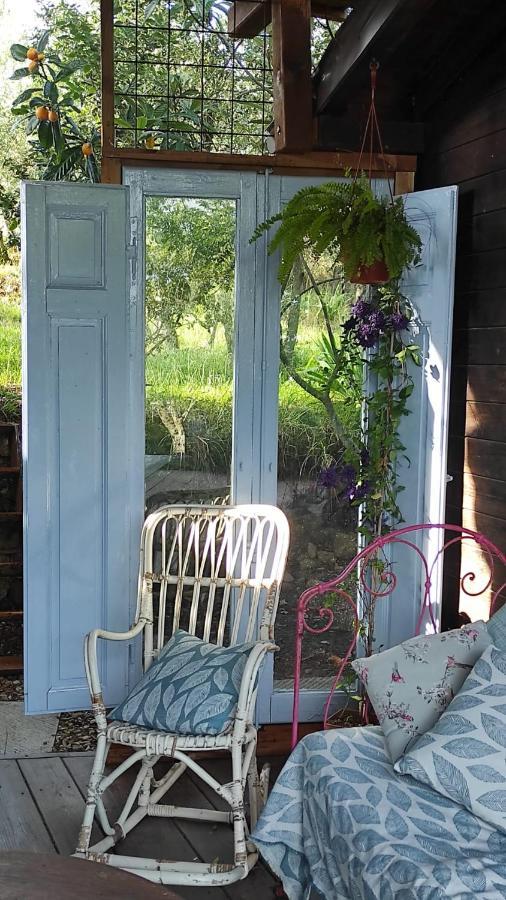 أريتسو B&B La Casina Di Iris المظهر الخارجي الصورة