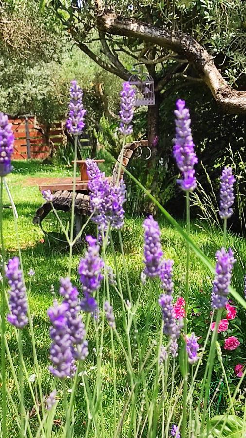 أريتسو B&B La Casina Di Iris المظهر الخارجي الصورة