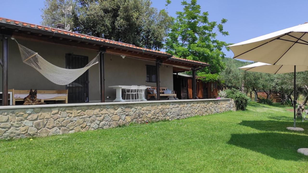 أريتسو B&B La Casina Di Iris المظهر الخارجي الصورة