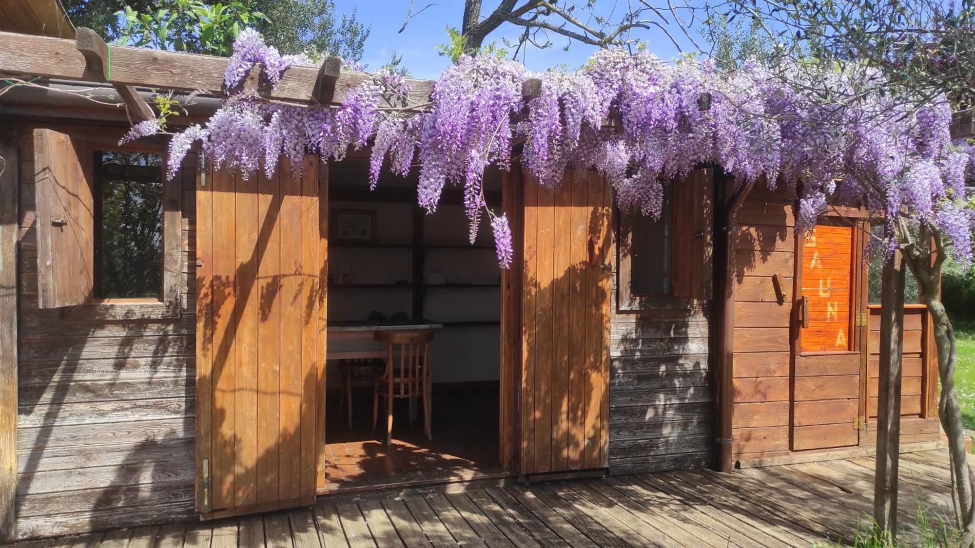 أريتسو B&B La Casina Di Iris المظهر الخارجي الصورة